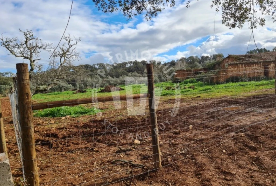 Quinta para Venda em Cercal Foto 27