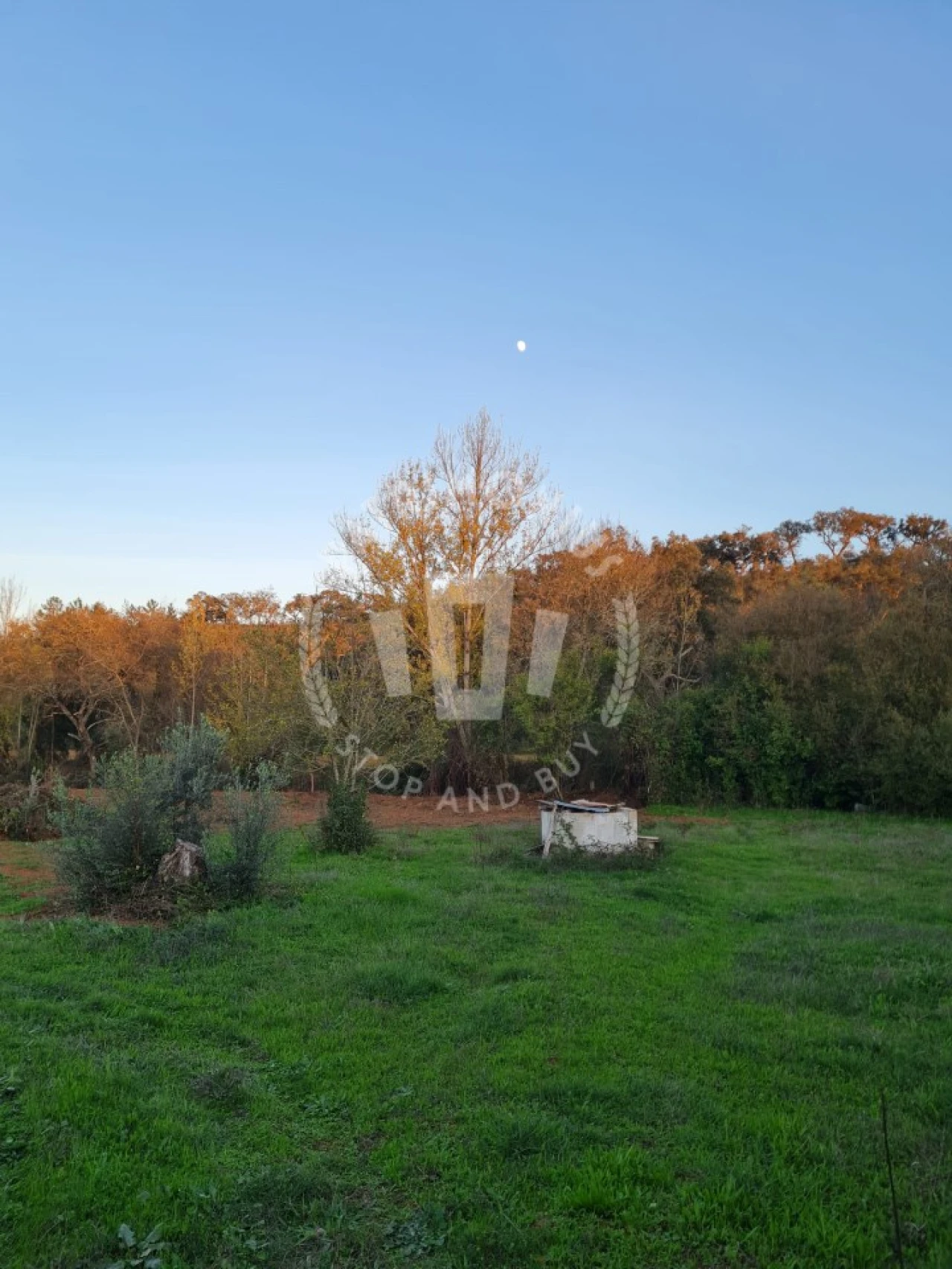 Quinta para Venda em Cercal Foto 36