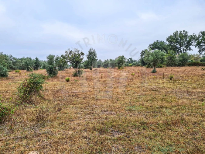 Quinta para Venda em Cercal Foto 20