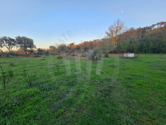 Quinta para Venda em Cercal Foto 24