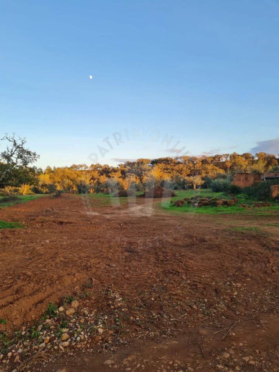 Quinta para Venda em Cercal Foto 26