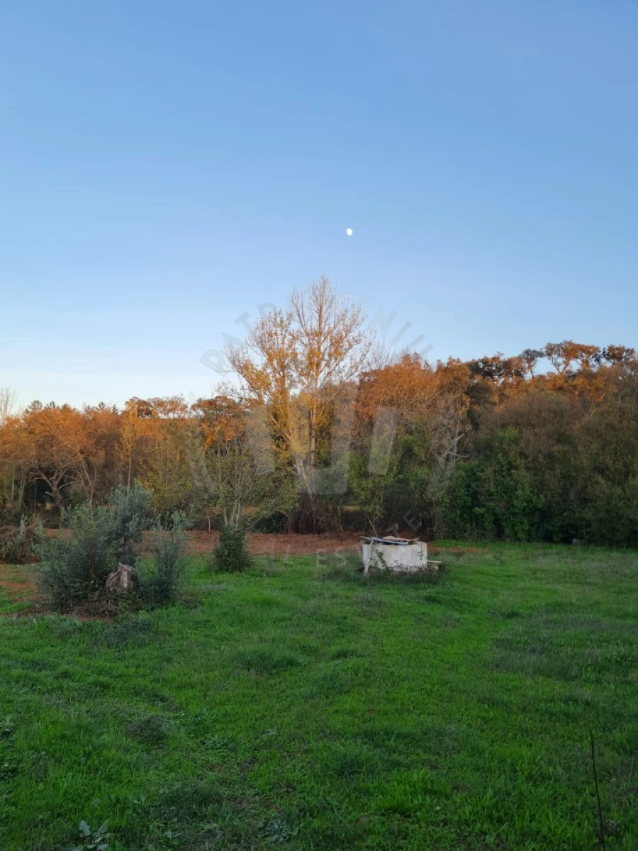 Quinta para Venda em Cercal Foto 28