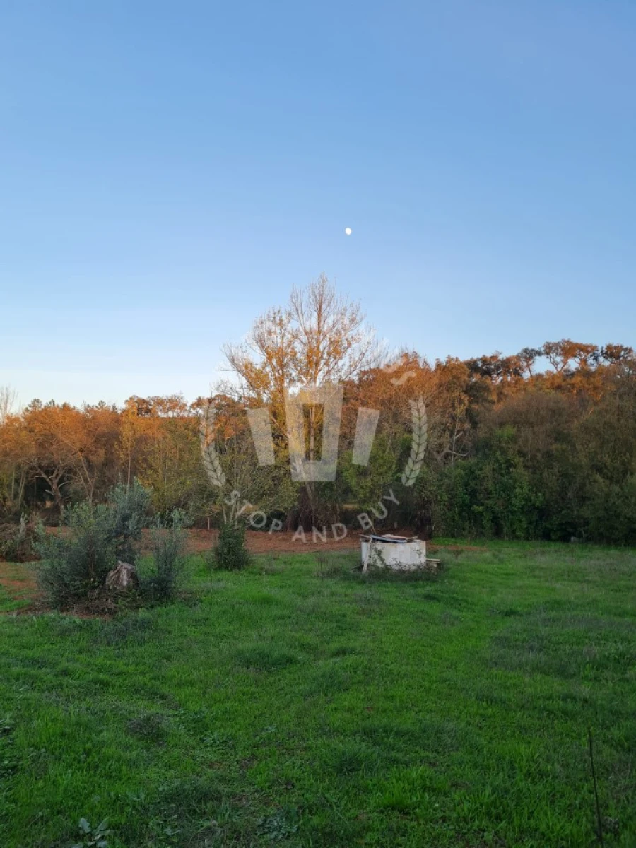Quinta para Venda em Cercal Foto 36