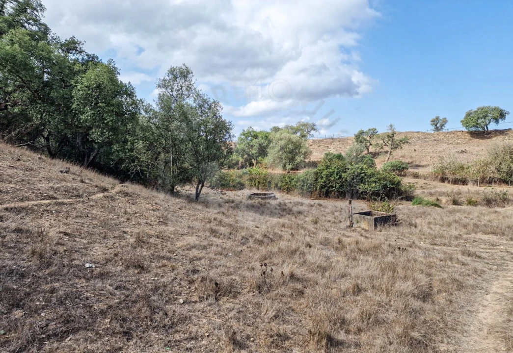 Quinta T1 para Venda em Santiago do Cacém, Santa Cruz e São Bartolomeu da Serra Foto 3
