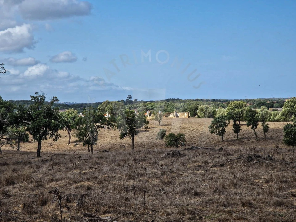 Quinta T1 para Venda em Santiago do Cacém, Santa Cruz e São Bartolomeu da Serra Foto 4