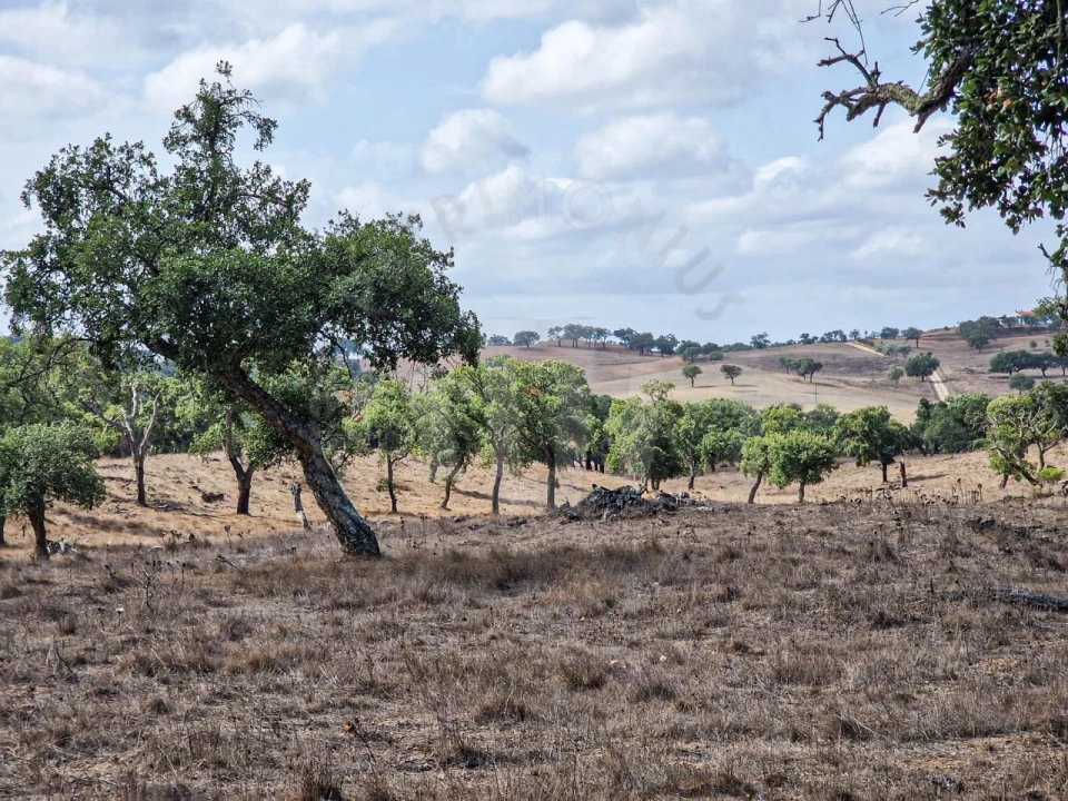 Quinta T1 para Venda em Santiago do Cacém, Santa Cruz e São Bartolomeu da Serra Foto 5