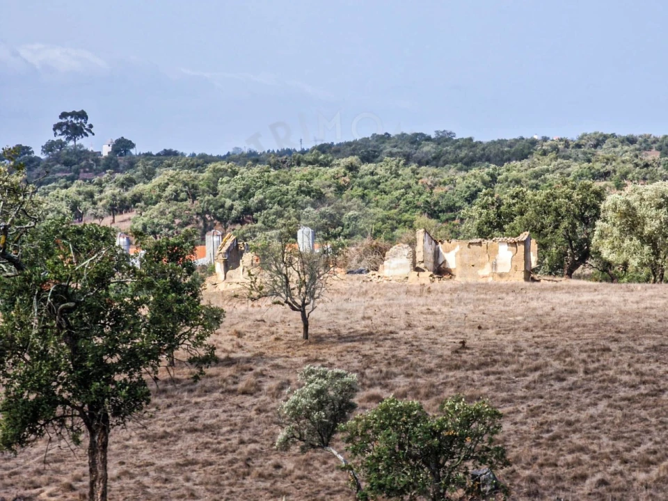 Quinta T1 para Venda em Santiago do Cacém, Santa Cruz e São Bartolomeu da Serra Foto 6