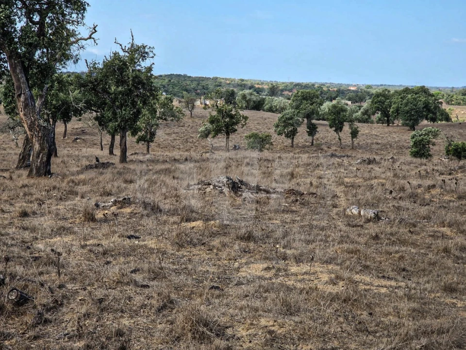 Quinta T1 para Venda em Santiago do Cacém, Santa Cruz e São Bartolomeu da Serra Foto 7