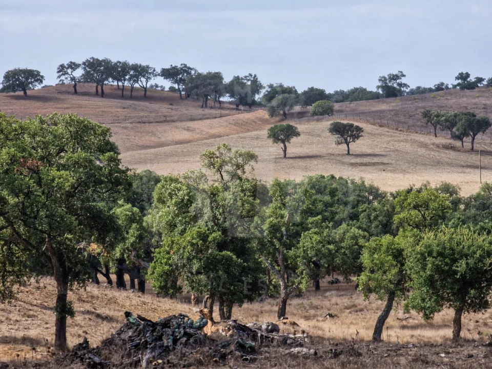 Quinta T1 para Venda em Santiago do Cacém, Santa Cruz e São Bartolomeu da Serra Foto 8
