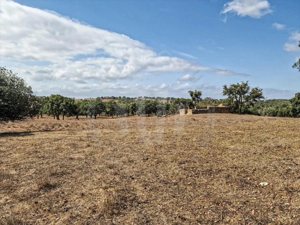 Quinta T1 para Venda em Santiago do Cacém, Santa Cruz e São Bartolomeu da Serra Foto 19