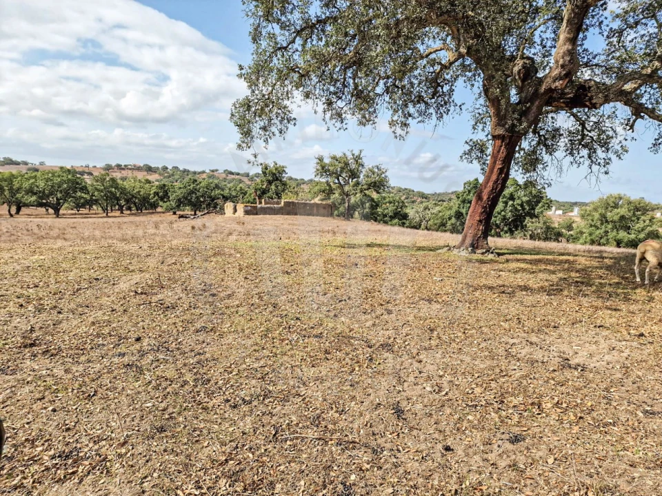 Quinta T1 para Venda em Santiago do Cacém, Santa Cruz e São Bartolomeu da Serra Foto 20