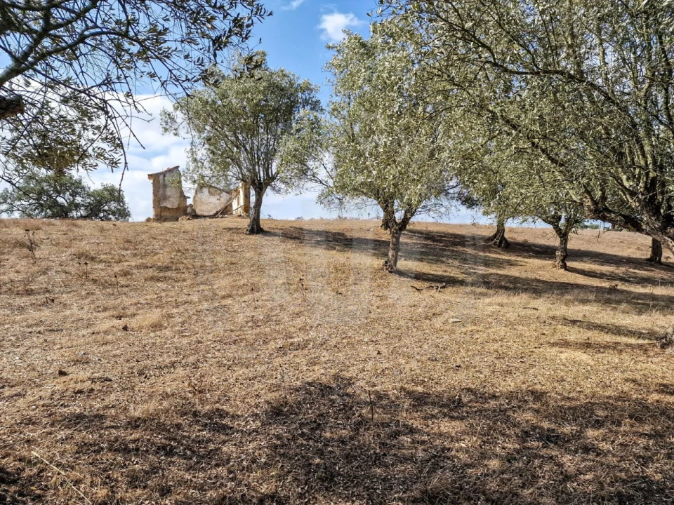 Quinta T1 para Venda em Santiago do Cacém, Santa Cruz e São Bartolomeu da Serra Foto 24