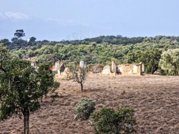 Quinta T1 para Venda em Santiago do Cacém, Santa Cruz e São Bartolomeu da Serra