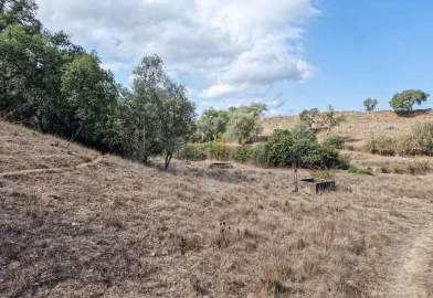 Quinta T1 para Venda em Santiago do Cacém, Santa Cruz e São Bartolomeu da Serra
