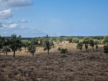Quinta T1 para Venda em Santiago do Cacém, Santa Cruz e São Bartolomeu da Serra