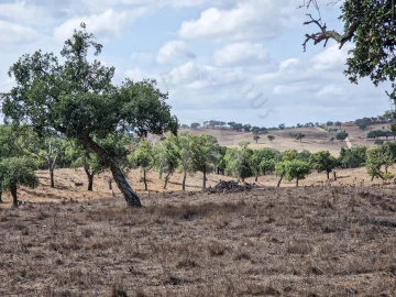 Quinta T1 para Venda em Santiago do Cacém, Santa Cruz e São Bartolomeu da Serra