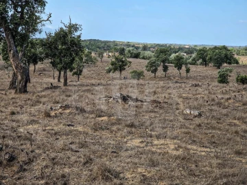 Quinta T1 para Venda em Santiago do Cacém, Santa Cruz e São Bartolomeu da Serra