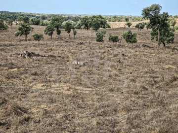 Quinta T1 para Venda em Santiago do Cacém, Santa Cruz e São Bartolomeu da Serra