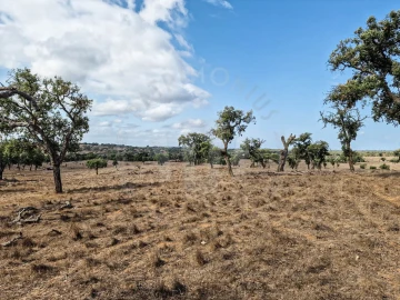 Quinta T1 para Venda em Santiago do Cacém, Santa Cruz e São Bartolomeu da Serra