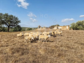 Quinta T1 para Venda em Santiago do Cacém, Santa Cruz e São Bartolomeu da Serra