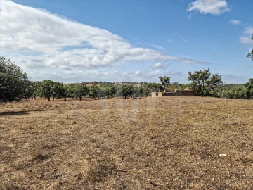 Quinta T1 para Venda em Santiago do Cacém, Santa Cruz e São Bartolomeu da Serra