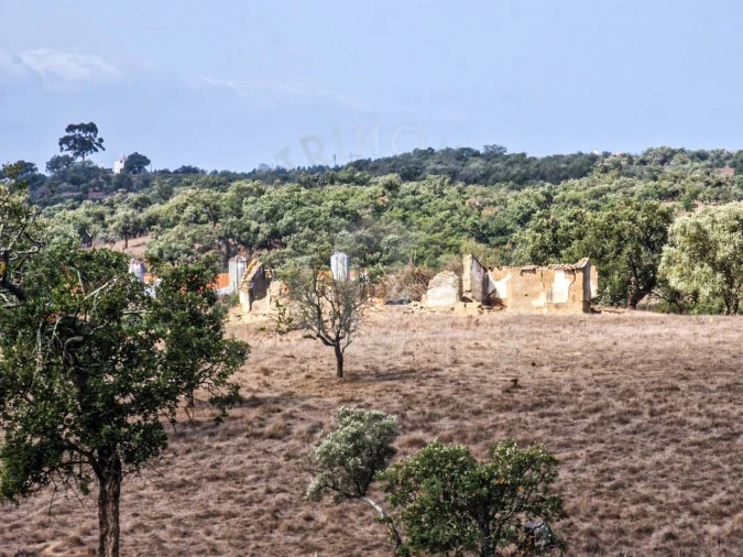 Quinta T1 para Venda em Santiago do Cacém, Santa Cruz e São Bartolomeu da Serra Foto 2