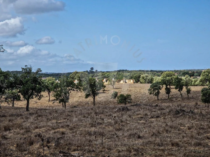 Quinta T1 para Venda em Santiago do Cacém, Santa Cruz e São Bartolomeu da Serra Foto 4