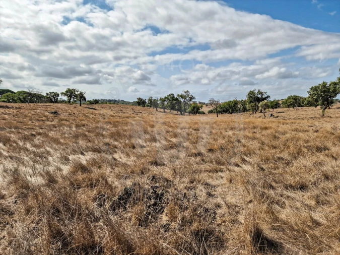 Quinta T1 para Venda em Santiago do Cacém, Santa Cruz e São Bartolomeu da Serra Foto 15