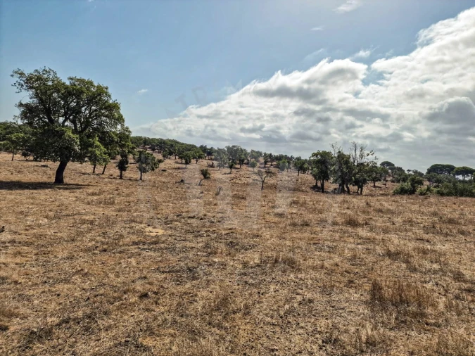 Quinta T1 para Venda em Santiago do Cacém, Santa Cruz e São Bartolomeu da Serra Foto 16