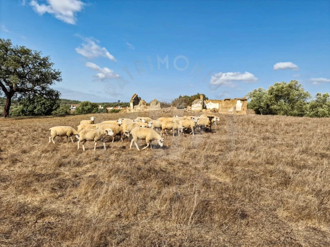 Quinta T1 para Venda em Santiago do Cacém, Santa Cruz e São Bartolomeu da Serra Foto 17