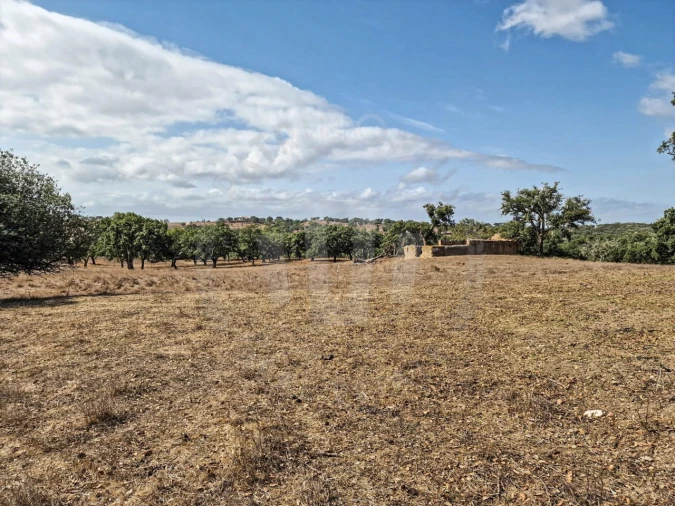 Quinta T1 para Venda em Santiago do Cacém, Santa Cruz e São Bartolomeu da Serra Foto 19