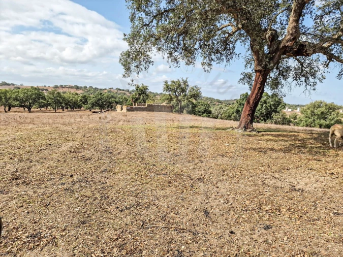 Quinta T1 para Venda em Santiago do Cacém, Santa Cruz e São Bartolomeu da Serra Foto 20
