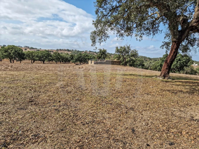 Quinta T1 para Venda em Santiago do Cacém, Santa Cruz e São Bartolomeu da Serra Foto 21