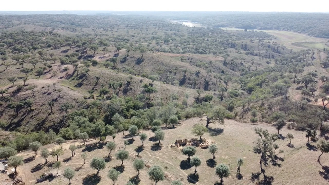 Quinta T1 para Venda em Abela Foto 1