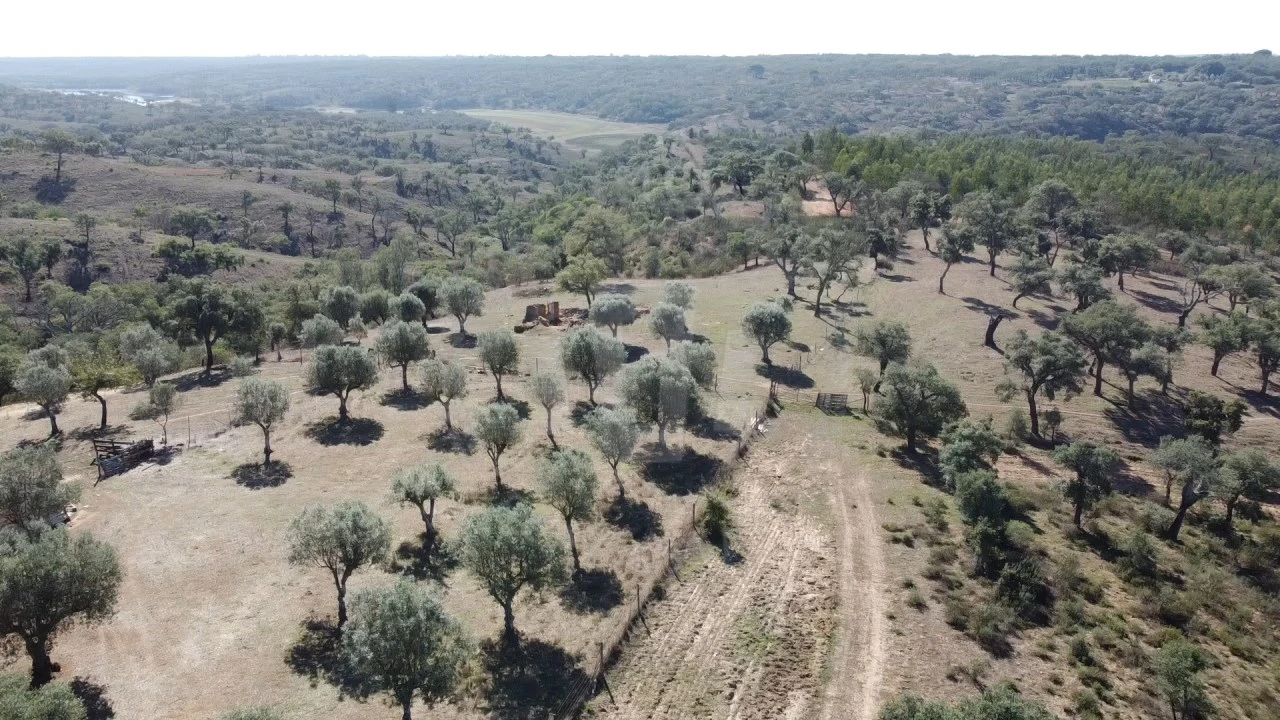 Quinta T1 para Venda em Abela Foto 2
