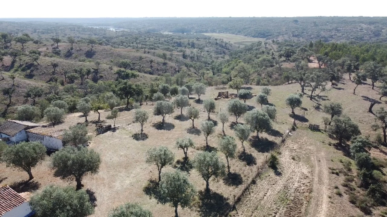 Quinta T1 para Venda em Abela Foto 3