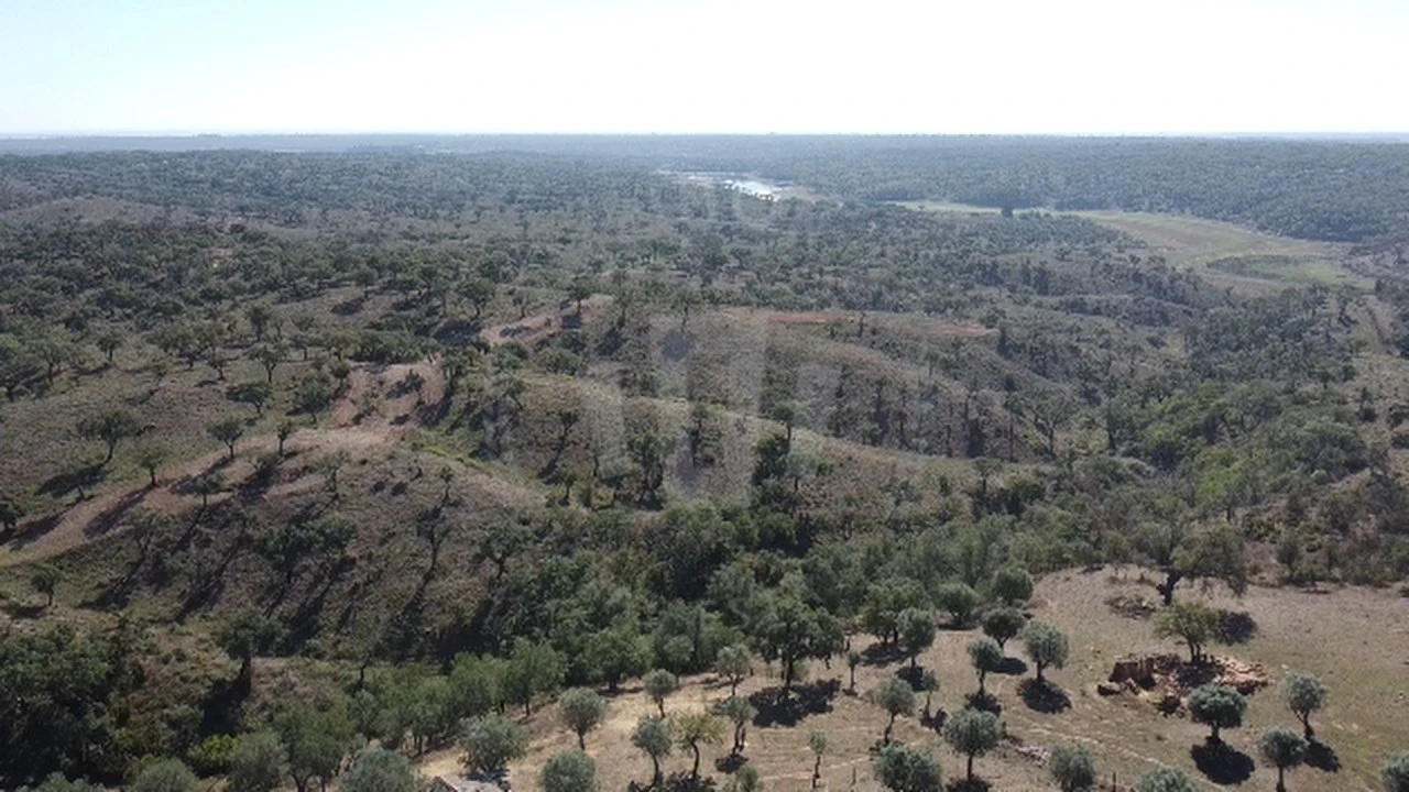 Quinta T1 para Venda em Abela Foto 5