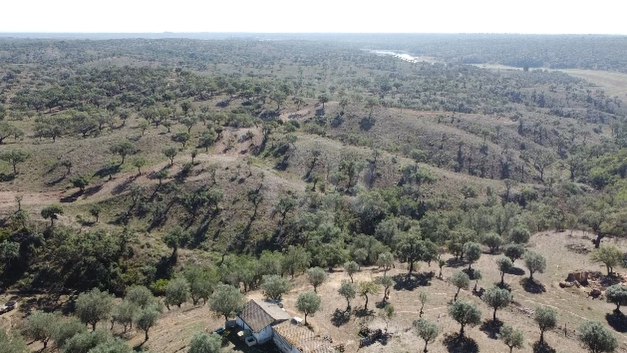 Quinta T1 para Venda em Abela Foto 7