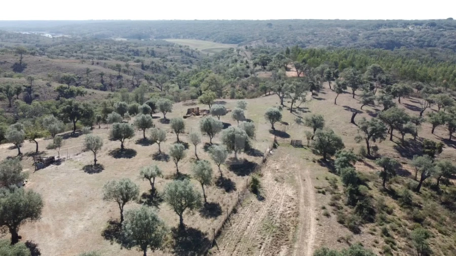 Quinta T1 para Venda em Abela Foto 2