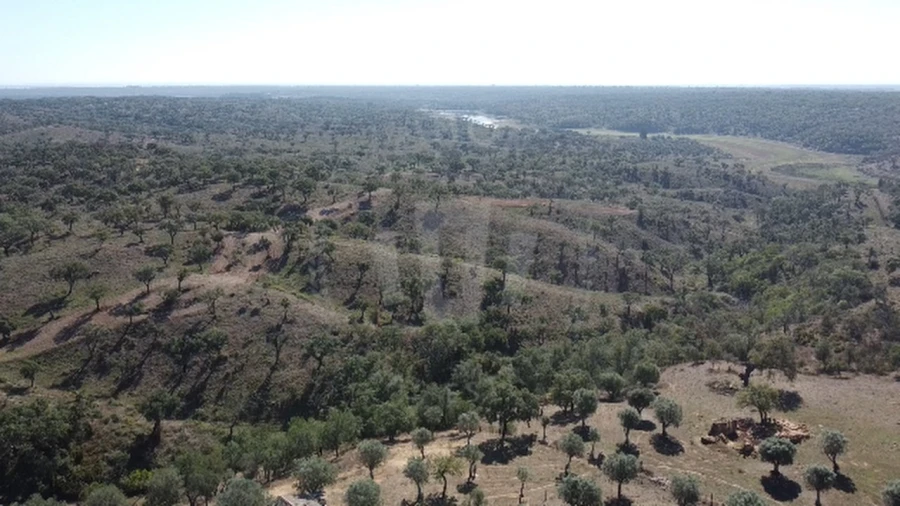 Quinta T1 para Venda em Abela Foto 5