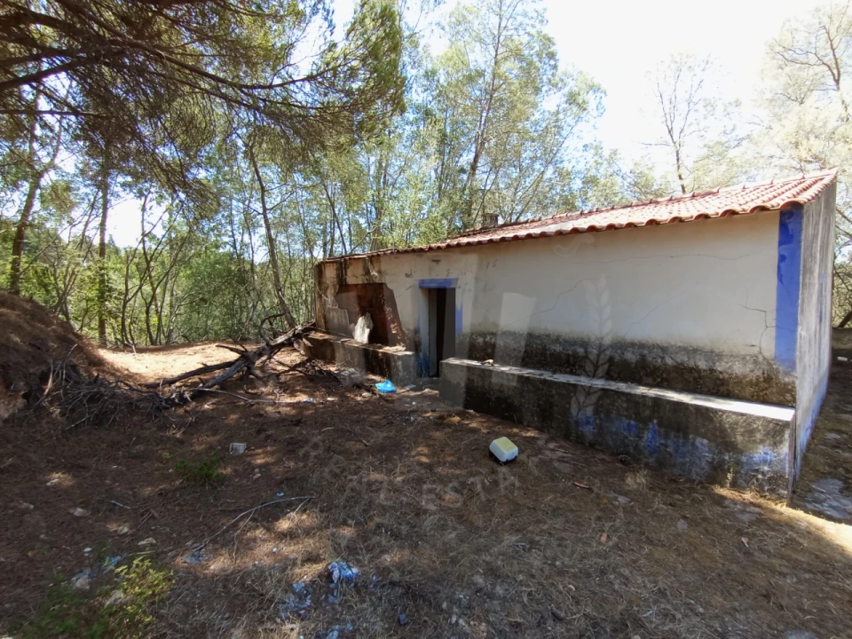 Quinta T4 para Venda em São Teotónio Foto 1