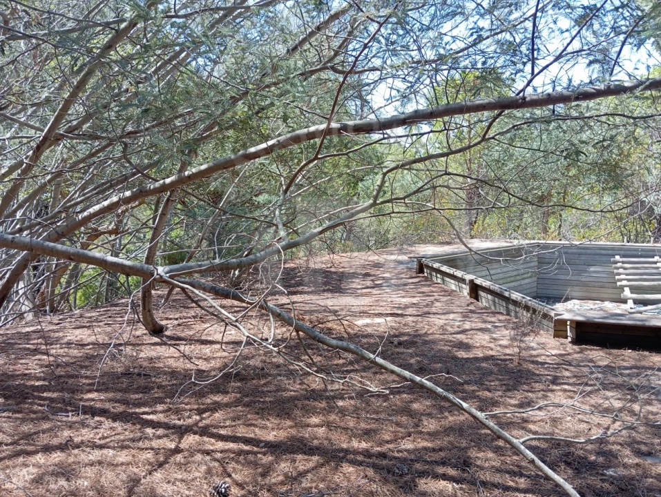 Quinta T4 para Venda em São Teotónio Foto 11