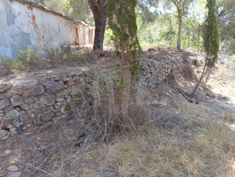 Quinta T4 para Venda em São Teotónio Foto 16