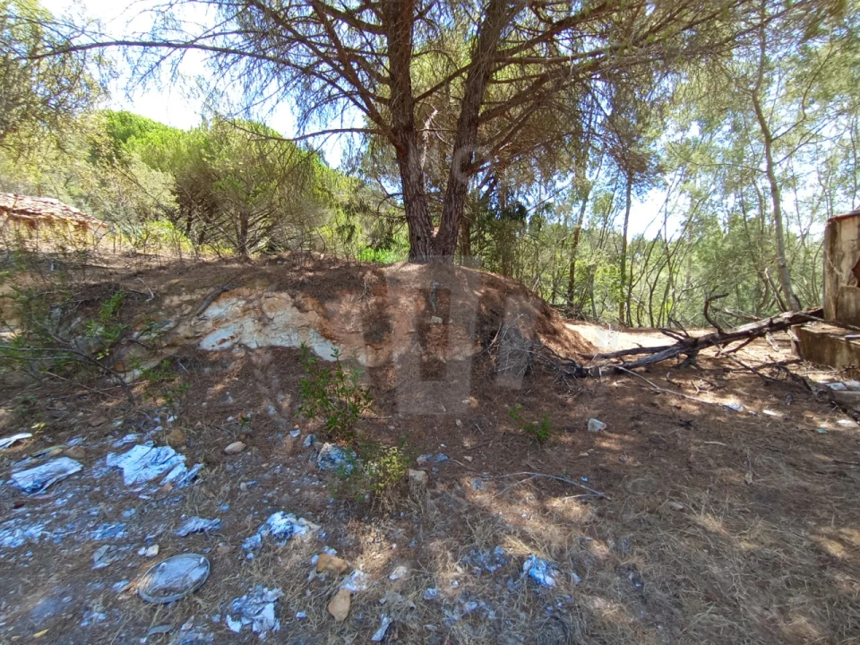 Quinta T4 para Venda em São Teotónio Foto 21