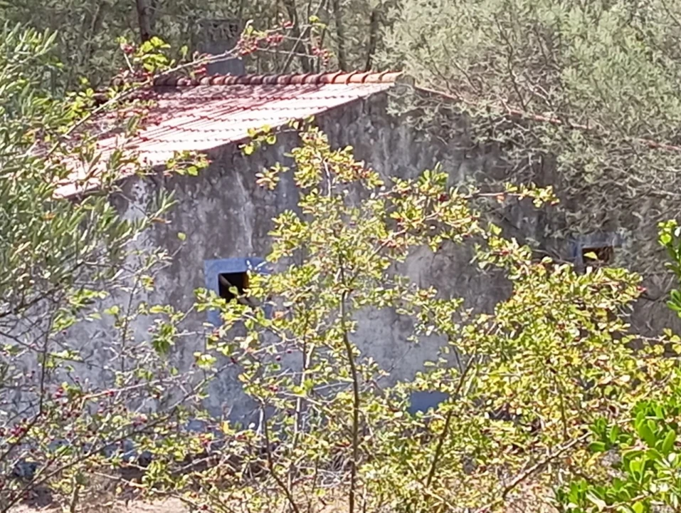 Quinta T4 para Venda em São Teotónio Foto 23