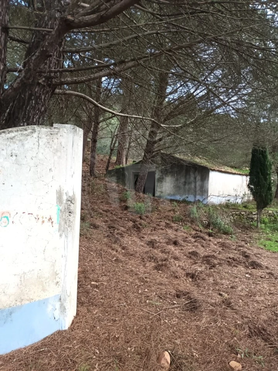 Quinta T4 para Venda em São Teotónio Foto 4