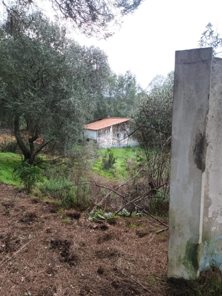 Quinta T4 para Venda em São Teotónio Foto 5