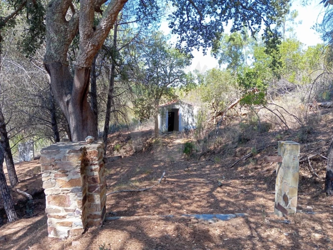 Quinta T4 para Venda em São Teotónio Foto 13