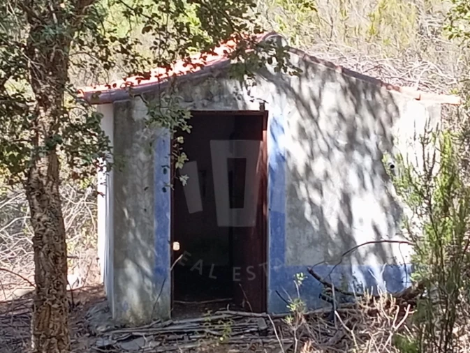 Quinta T4 para Venda em São Teotónio Foto 14