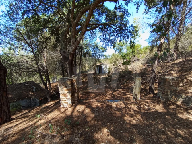 Quinta T4 para Venda em São Teotónio Foto 15